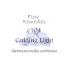 c104. Guiding Light 30 ml