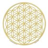 Raamsticker Flower of Life / Bloem des Levens 11,7 cm