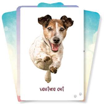 Dog Wisdom Cards - Tanya Graham