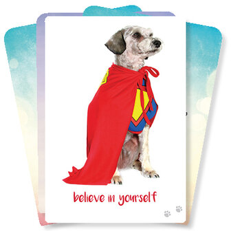 Dog Wisdom Cards - Tanya Graham