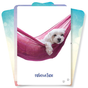 Dog Wisdom Cards - Tanya Graham