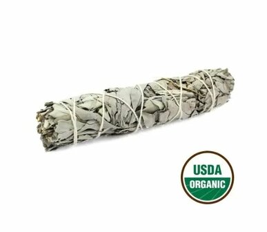 Witte salie smudgestick, 15 cm