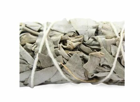 Witte salie smudgestick, 15 cm