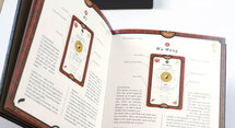 Feng Shui gids & kaarten – Richard Craze
