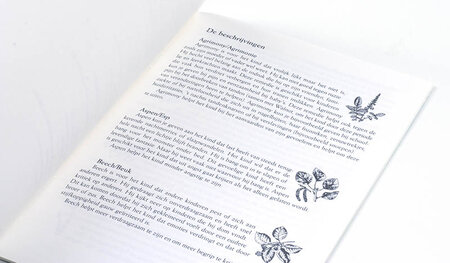 Bach Bloesemremedies voor kinderen - Diana Koornstra
