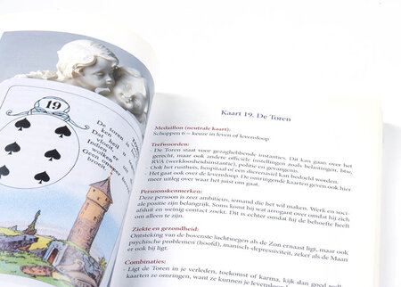 Het complete Lenormand handboek - Sylvia de Laet