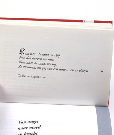 Dansend tussen vreugde en verdriet – Mansukh Patel, Rita Goswami