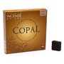 Aromafume Bricks Copal