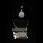 Rose Quartz Pendant/ Earring Set, 925 Silver