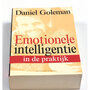 Emotionele intelligentie in de praktijk – Daniel Goleman