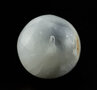 Selenite sphere, 5 - 6 cm